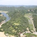 그리로 Daum카페