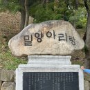 일재농장 | 密陽