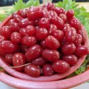 미락농장 이미지