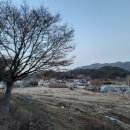 금곡목장 이미지