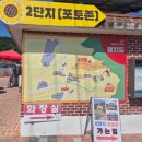 노래꽃피는마을 | [함안/축제] 강주 해바라기 축제 막바지 방문 후기🌻