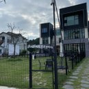 Big Dog(빅독) 이미지