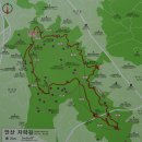 [서울]서대문 안산 자락길 순환코스 이미지