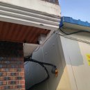 번영농장 이미지