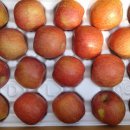 봉화산농장 이미지