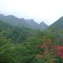 동해바람 민박 Daum카페