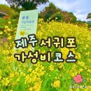 서귀포예술의전당 강의실 | 제주 서귀포 가성비 맛집 삼매봉153 식당 도서관