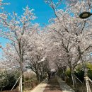 사덕상리 이미지