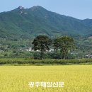 광주055 이미지
