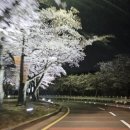 알천남로 이미지