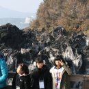 제주장애인요양원 이미지