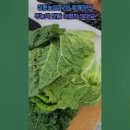 장훈농장 이미지