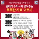 삼안유통 - 남양주시 | 힐스 80주년 기념 보호자 클래스 세미나 듣고 왔어요.