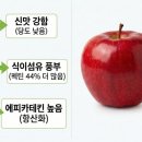 빨간사과 하이닥