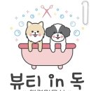 뷰티 in 독 이미지