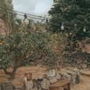 웃더럭민박 이미지