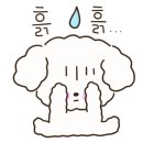 진도애견훈련소 이미지