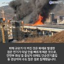 37 상사 이미지