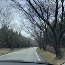 프렌즈스크린신동 | 여주신라CC 라운딩 후기, 골프코디