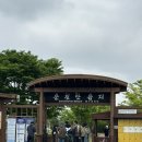 순천만명품무인호텔 | 순천 볼거리 순천만습지 가는방법 및 방문 후기(5월)