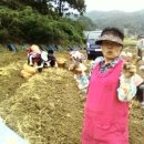 고려홍삼천국 - 파주시 | 고려홍삼천국