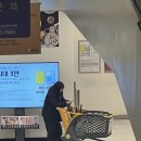 [밀양/글램핑]슨생님들과 밀양아리아글램핑다녀온 후기❤️‍🔥