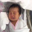 복땡이
