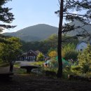 대장암 환자가 깨달은 진인사대천명 100세 건강법 | 실패 없는 아로니아 청 담그는 법과 아로니아의 효능