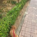 다가온동물병원 이미지