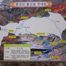 화순 우체국 앞 이미지