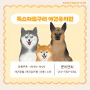 독스하트 구리 이미지