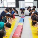 백호 합기도 이미지