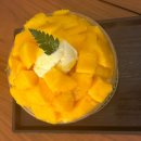 카페페이지(cafe page) 이미지