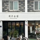 대구농원 | 대구 칠성시장꽃집 제주농원에서 홍콩야자 구매후기