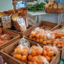 침산농장 이미지