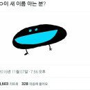 ✕ 진짜로 있는 새 ✕[풍조] 이미지