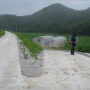 여주-0332 이미지