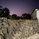 신풍929 | [제주_성산, 신풍 숙소] 신풍929 독채 숙박 후기