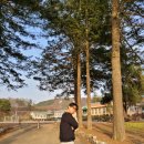 양동초등학교고송분교장 네이버블로그