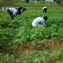 두레전자 이미지