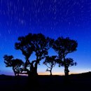 무진 태양광발전소 이미지