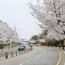 금릉역 버스정류장 이미지