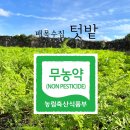 배목수집 이미지