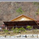 개나리민박 이미지