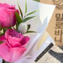 밀로바니케이크 이미지