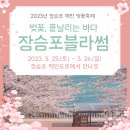 장승포1로 이미지