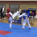 명장 태권도장 이미지