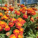 갓골 게스트하우스 이미지