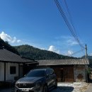 봉양7길 | 강원도 정선 촌캉스 별길따라 후기 (내돈내산, 계곡, 숙소사진,근처볼거리,마트)