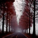 죽동마을 이미지